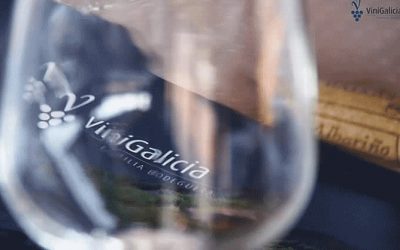 Vino con carácter Atlántico, elaborado 100% de uva Albariño