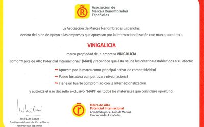 Vinigalicia obtains the  “Ardan de Empresa Global 2017”