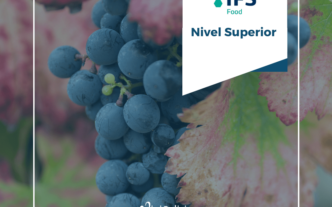 Vinigalicia renews IFS certification and upgrades to Superior Level