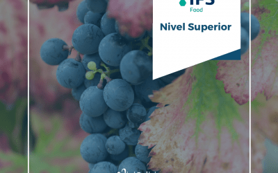 Vinigalicia renueva la certificación IFS y mejora a Nivel Superior