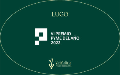 VINIGALICIA OBTIENE EL VI PREMIO PYME DEL AÑO DE LUGO